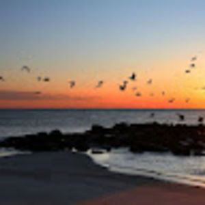 Meet your Posher, Lexi